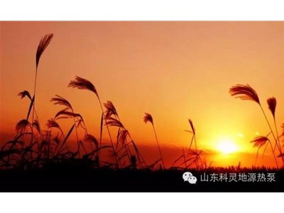 大愛初秋，醉美科靈