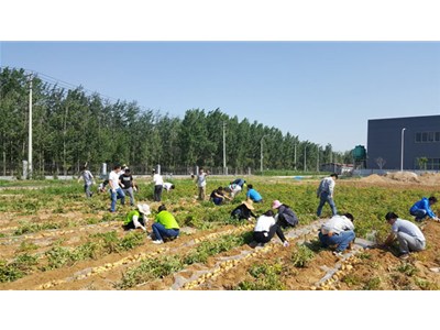 在這豐收喜悅的季節里，我們滿載而歸